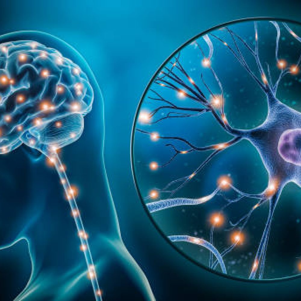 Human brain stimulation or activity with neuron close-up 3D rendering illustration. Neurology, cognition, neuronal network, psychology, neuroscience scientific concepts.